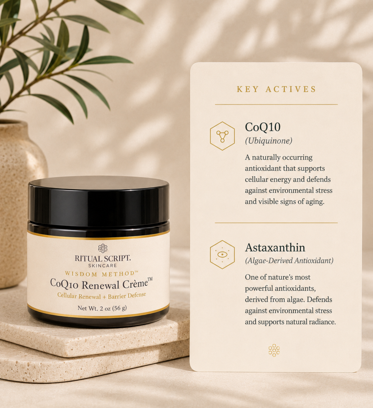 CoQ10 Renewal Crème™
