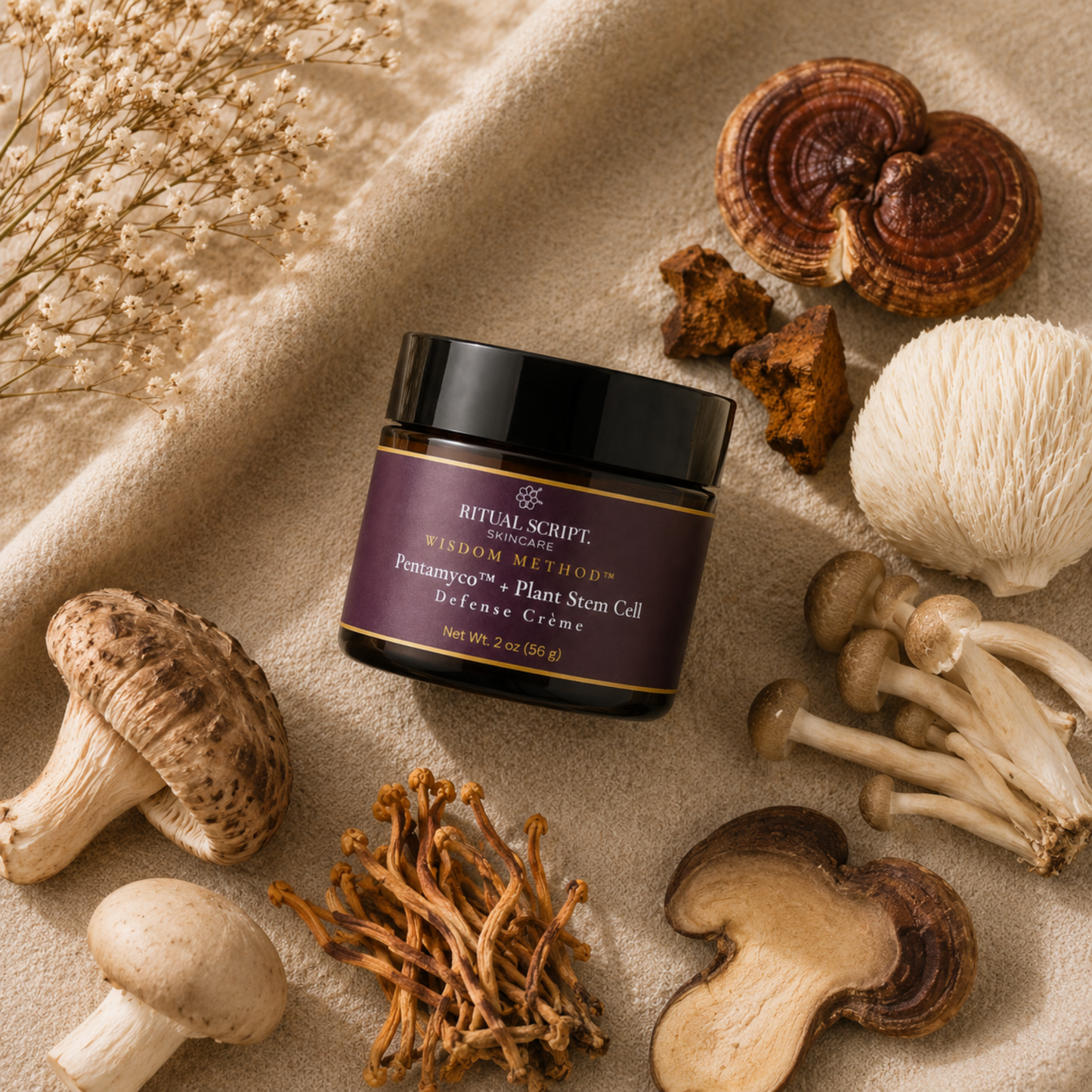 Pentamyco™ + Plant Stem Cell Defense Crème