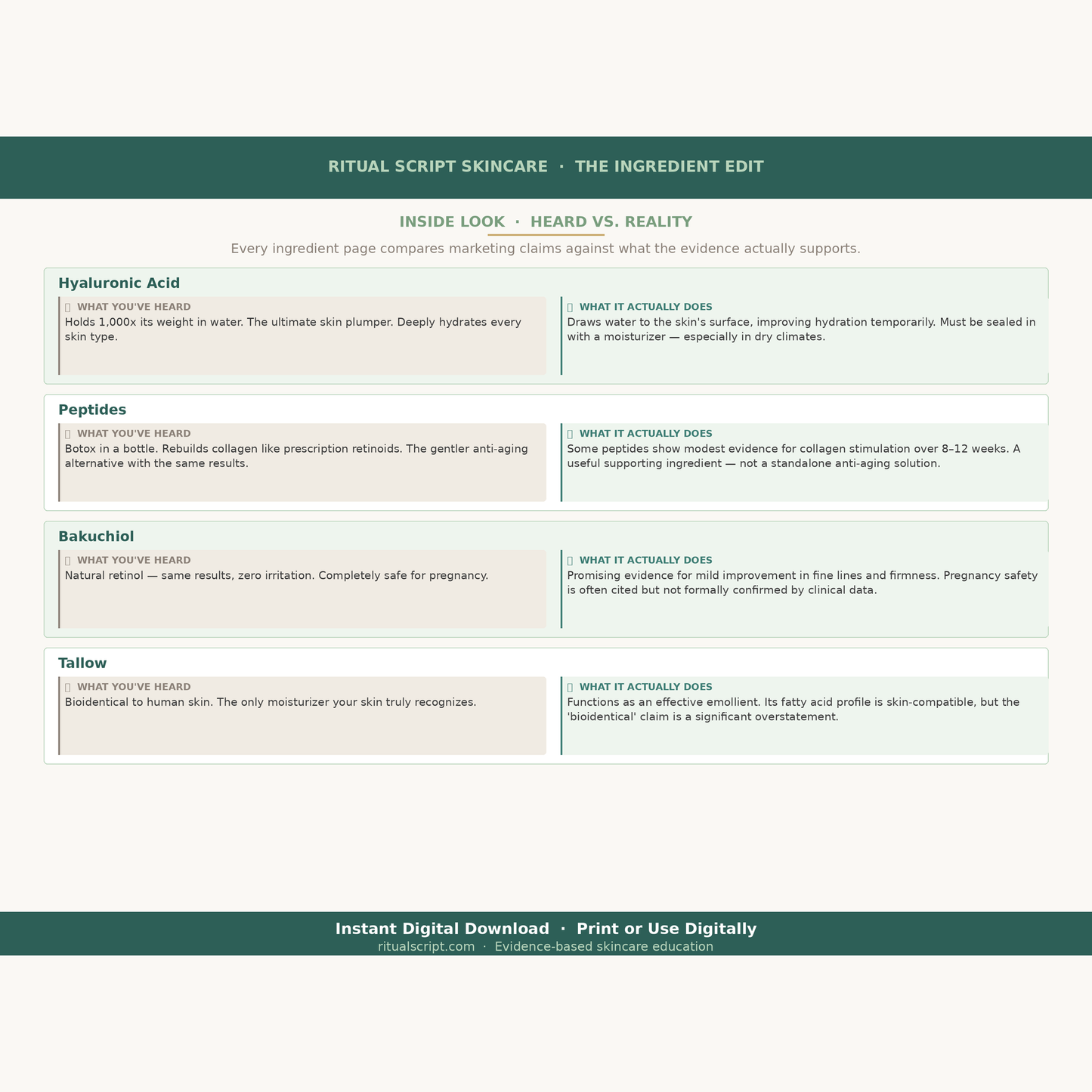 The Ingredient Edit | 20 Skincare Ingredients Explained | Retinol, Vitamin C, Niacinamide Guide | Evidence-Based Skincare PDF